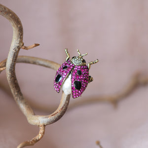 Bejewelled Insect Brooches - Bill Skinner Studio