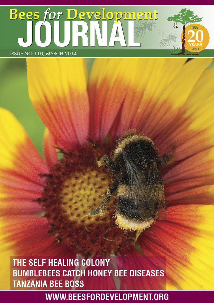 Bees for Development Journal Edition 110, March 2014 (Digital Download PDF)