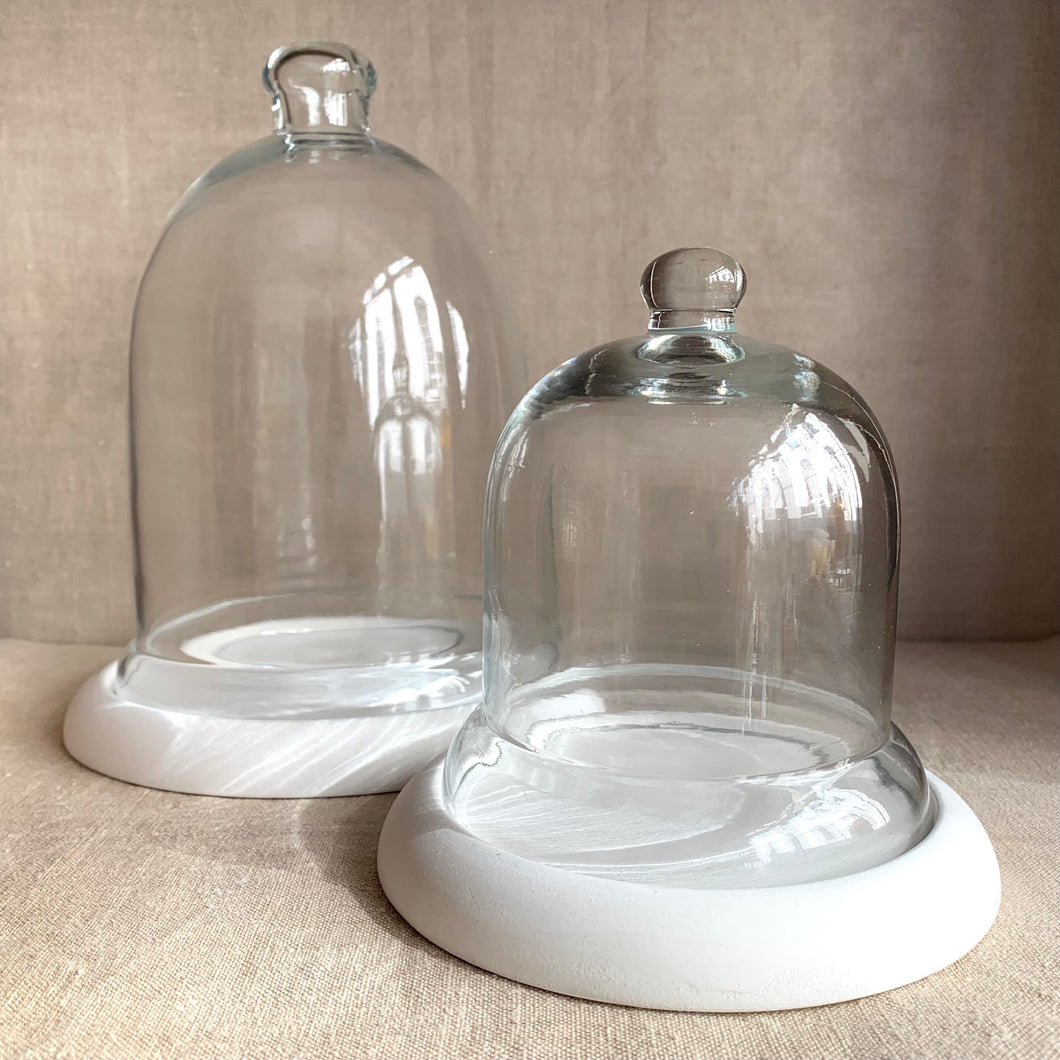 Glass cloche with wooden base