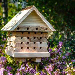 Interactive solitary bee hotel - Wildlife World