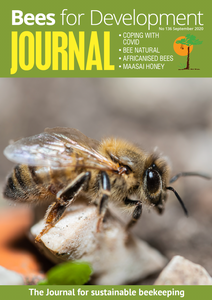 Bees for Development Journal Edition 136, September 2020 (Digital download PDF)