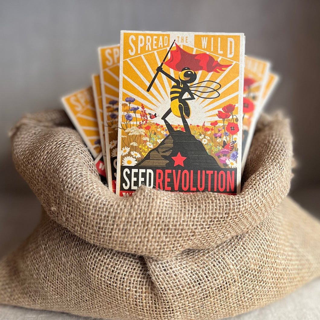Organic Wildflower Seeds - Seed Revolution