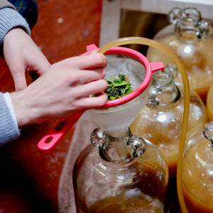 Mead Making with Chris Park and Bees for Development 21 October 2023