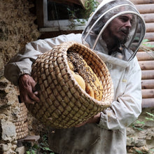 Load image into Gallery viewer, Bees for Development and Chris Park Introduction to Skep Beekeeping 10 August 2024
