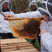 Load image into Gallery viewer, Bees for Development Sustainable Beekeeping Course 20-21 April 2024
