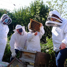 Load image into Gallery viewer, Bees for Development Sustainable Beekeeping Course 21-22 September 2024
