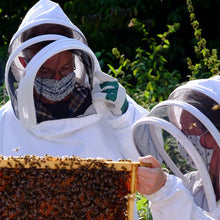 Load image into Gallery viewer, Bees for Development Sustainable Beekeeping Course 21-22 September 2024
