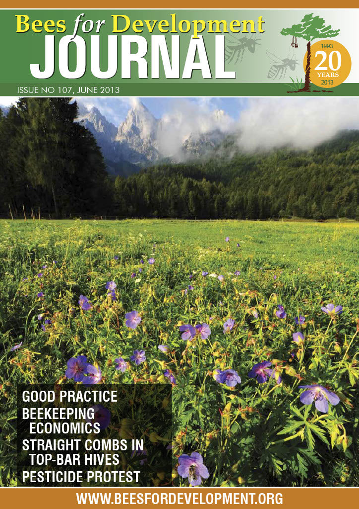 Bees for Development Journal Edition 107, June 2013 (Digital Download PDF)