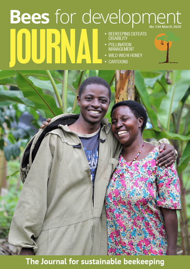 Bees for Development Journal Edition 134, March 2020 (Digital Download PDF)