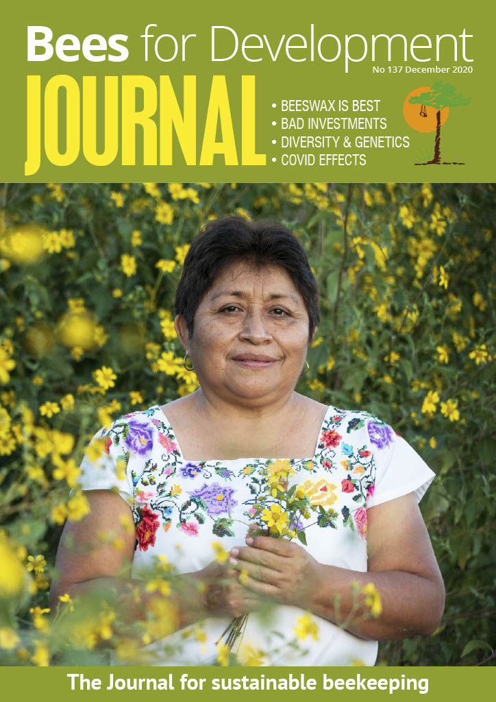 Bees for Development Journal Edition 137, December 2020 (Digital Download PDF)