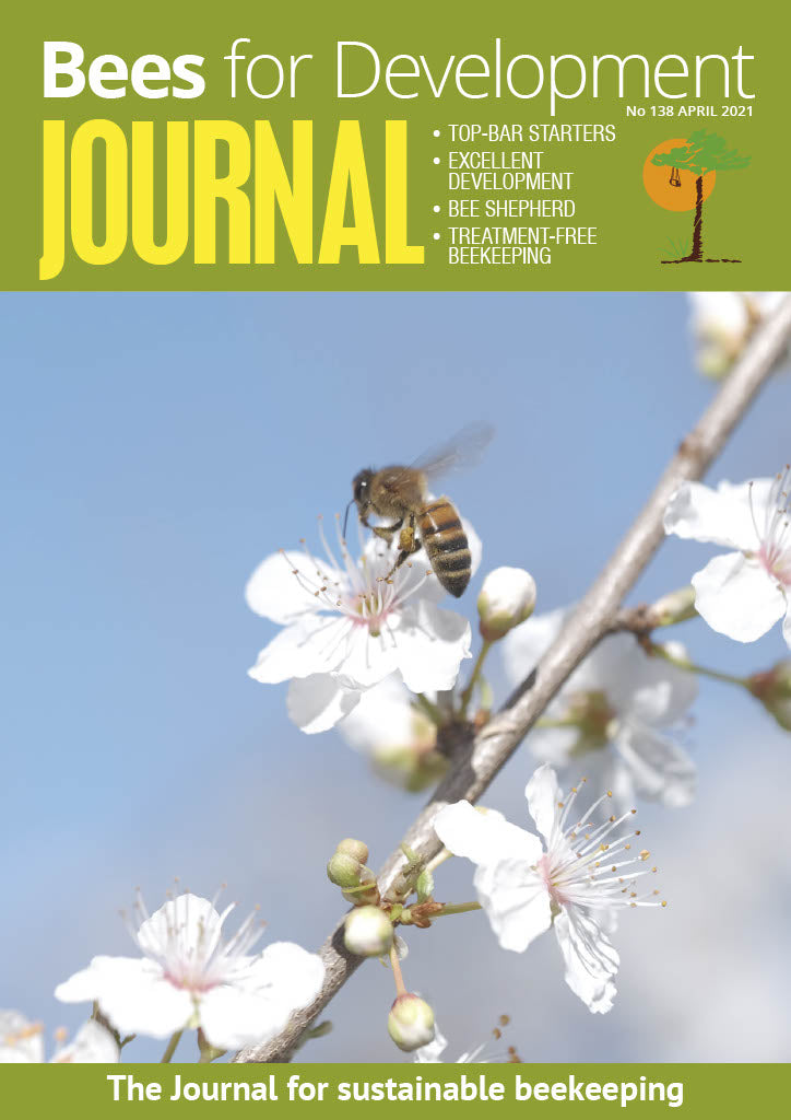 Bees for Development Journal Edition 138, April 2021 (Digital Download PDF)