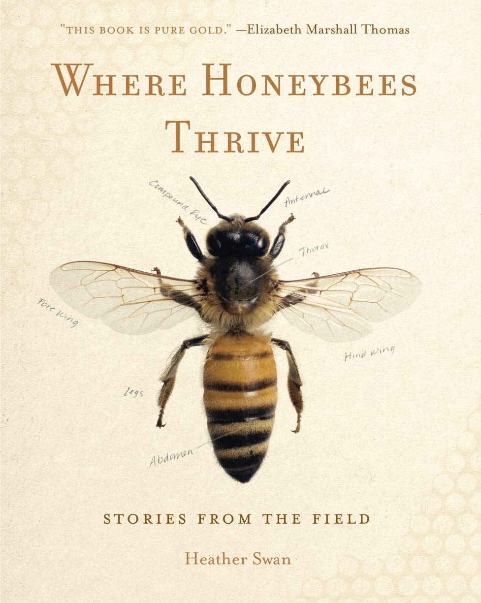 Where honeybees thrive: stories from the field - Swan