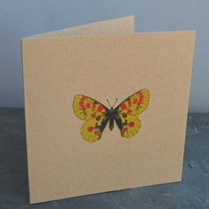 Greetings Cards - Kevin Williamson