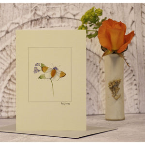 Greetings Cards - Penny Lindop Designs