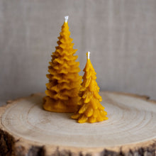Load image into Gallery viewer, Beeswax Christmas tree candle
