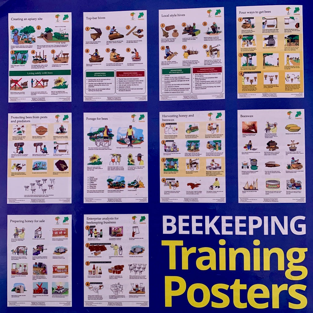 Beekeeping training posters (a series of ten)
