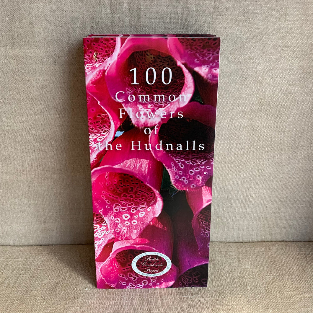 100 Common Flowers of the Hudnalls