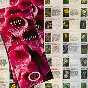 100 Common Flowers of the Hudnalls