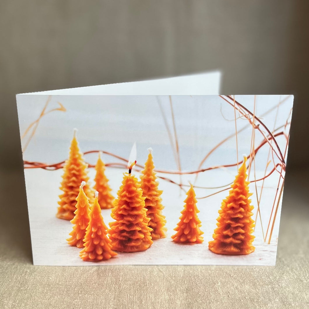 Christmas Cards - supporting Bees for Development