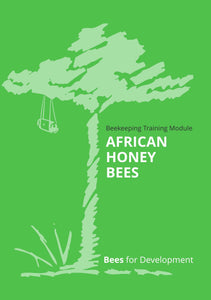 African honey bees