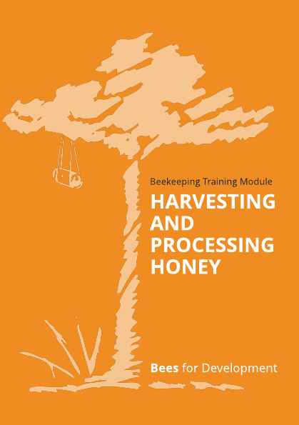 Harvesting and processing honey