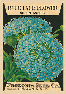 Greetings Cards  - Vintage Seed Packet 'Myrtle's Garden' Collection