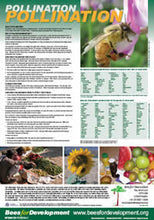 Load image into Gallery viewer, Beekeeping training posters
