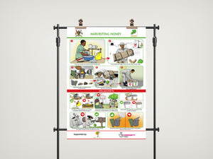 Beekeeping training posters - accessible content (Digital Download PDF)