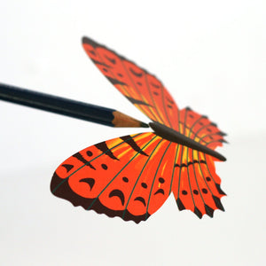 Butterfly balance cards - Faye Stevens
