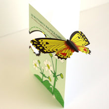 Load image into Gallery viewer, Butterfly balance cards - Faye Stevens
