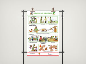 Beekeeping training posters - accessible content (Digital Download PDF)