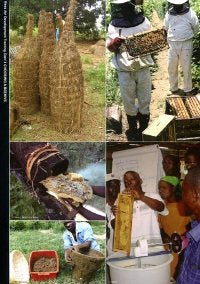 Training cards for African beekeepers